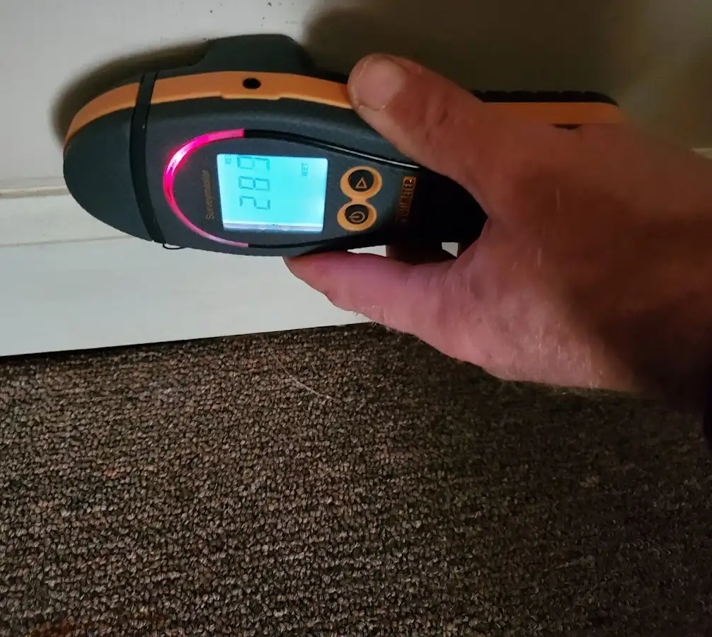 Moisture detection at baseboard during Sewage Cleanup & Sanitation in Bull Mountain